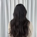 헤어재인 이미지