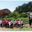 안만순농장 이미지