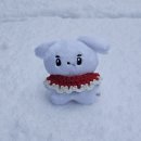 2024년 첫눈❄️ 이미지