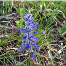 유락농장 이미지