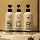 호텔 딘 이미지