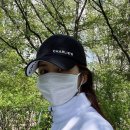 나무내음