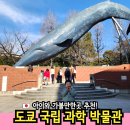 도쿄 국립 과학 박물관 우에노여행 아이와 가볼만한곳 추천 상상력과 놀라움