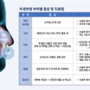 법인두머리