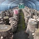 오번리 농장 이미지