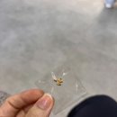 YS삼성치과의원 | 삼성역 더이음치과 신경치료 후기｜미뤄둔 충치 치료하고 과거청산 완료🥹