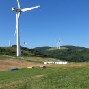 강원목장 이미지