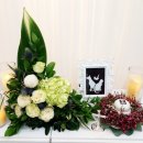 씨엘로펫 이미지