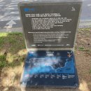 위미중학교 | 제주하면 올.레.길!