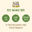 홍천 개아빠 이미지