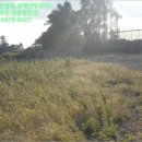 남원읍-13 이미지