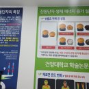 슈올즈서남