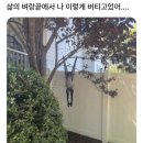 서부장연평도해물찜 | chemroute pegasus