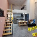 코브541
