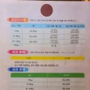 애견카페 펍 곰곰 이미지