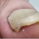 풋풋한리쌤 성수본점 이미지