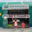 봉농원 | 6번째 봉농원 딸기축제 다녀왔습니다_박비주은기자