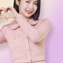 (주)쥬비스다이어트 이미지