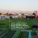 킨텍스, 한류월드 이미지