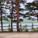 꼭지민박 이미지