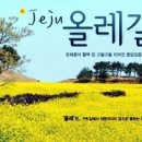 제주집2010