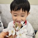 한국체대천마태권도장 이미지