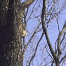 봉산약수터 이미지