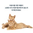 사월의 그루밍 | 먼지 날림 적은 고양이 두부모래추천, 굿포펜 천연 두부모래 솔직후기