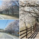 봉산휴게쉼터 이미지