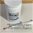 제이플러스팜(주) | 펫에그 비니백 플러스 유산균. 11마리 견주가 찐리뷰하는 강아지 유산균 추천!