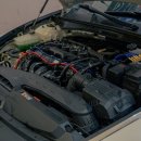 접지농장 이미지