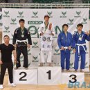 파라에스트라 이미지