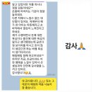 금선다원