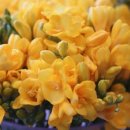 주원농장 이미지