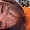 다이노스 호텔 | 2025년 3월 22일~23일 NC다이노스 vs KIA타이거즈 개막시리즈(+ 챔필 외야, EV석 후기)
