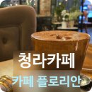 지인플라워카페 | 청라 카페, 꽃이 만발한 플라워카페 '카페 플로리안' 방문후기
