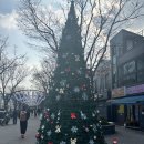 미가설렁탕전문 | 커피, 강릉중앙시장 수산물 센터, 대게 특별시, 강릉 리치문펜션, 사근진 순개울 해변, 미가 식당, 디드