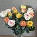 송현농장 이미지