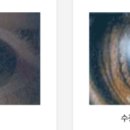 동그라미 이미지