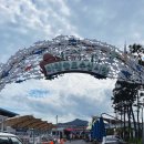 마량수산 | 전남 강진 여행 마량 놀토 수산시장 회포장