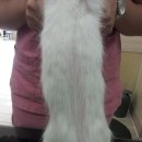 신탄진동물병원 이미지