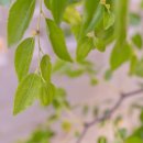 베베풀빌라 이미지