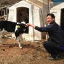 형식목장 이미지