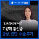 리즈동물병원 | 고양이 흉선종 증상 진단, 수술 치료 후기