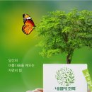 내몸에 초록