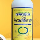 휴바스 이미지