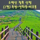 소백산 철쭉 산행 | 죽령~연화봉~비로봉~국망봉 5봉종주 코스 (1편)