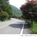 산청로 59번길 이미지