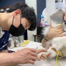 중앙동물병원 이미지