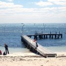 아일랜드 이미지